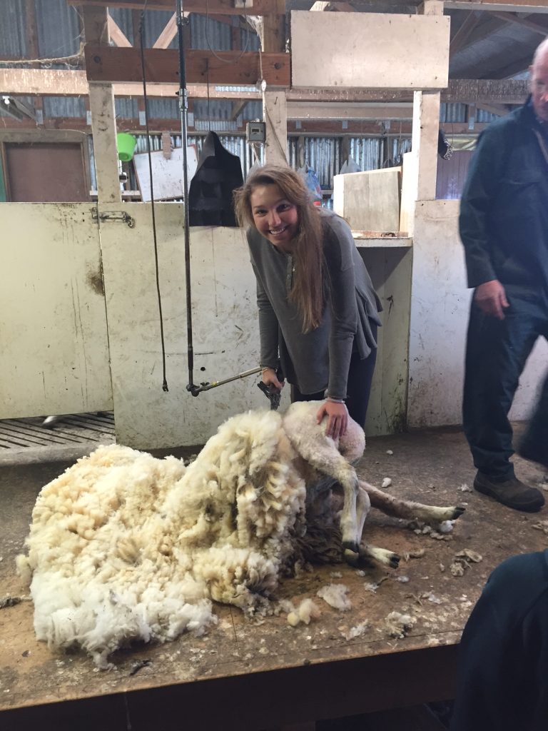 Ana shearing sheep and living the farm life